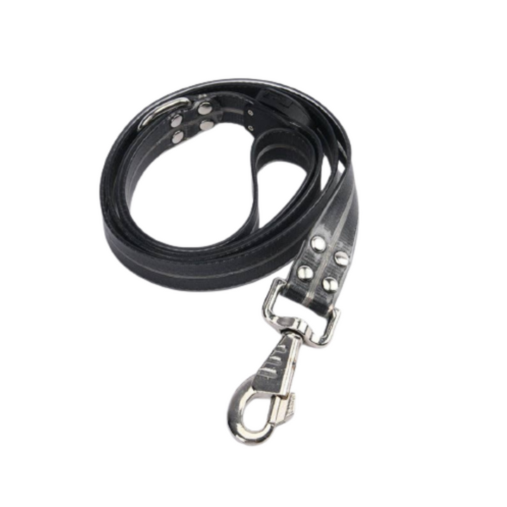  Cheerhunting LED Dog Leash Kanu Pet