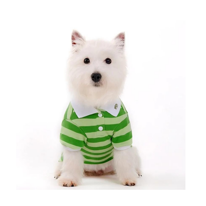 Dogo Pet Stripe Green Dog Polo Shirt | Kanu Pet