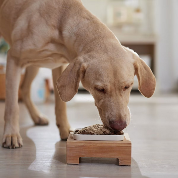 Stella & Chewy'sFreeze-Dried Maries Magical Dust Dog Topper | Kanu Pet
