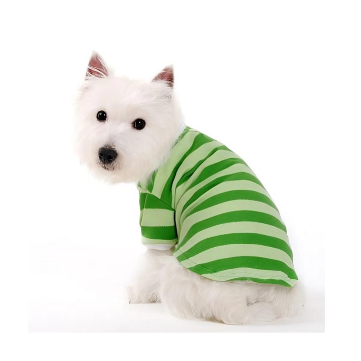 Dogo Pet Stripe Green Dog Polo Shirt | Kanu Pet