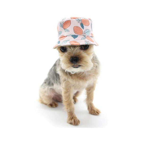 Dogo Pet Bucket Lemon Pink Dog Hat | Kanu Pet