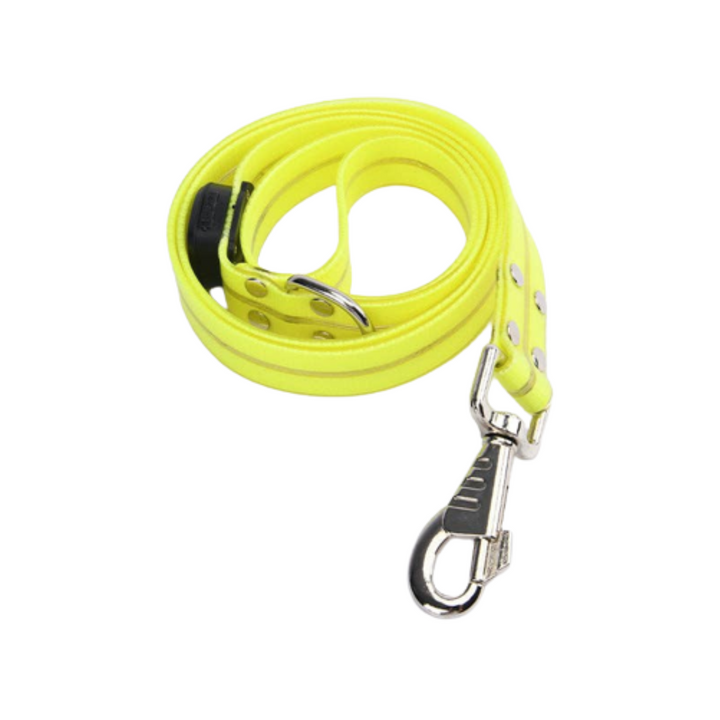  Cheerhunting LED Dog Leash Kanu Pet