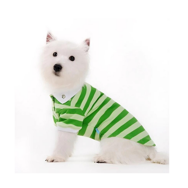 Dogo Pet Stripe Green Dog Polo Shirt | Kanu Pet