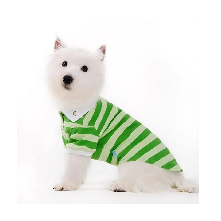 Dogo Pet Stripe Green Dog Polo Shirt | Kanu Pet