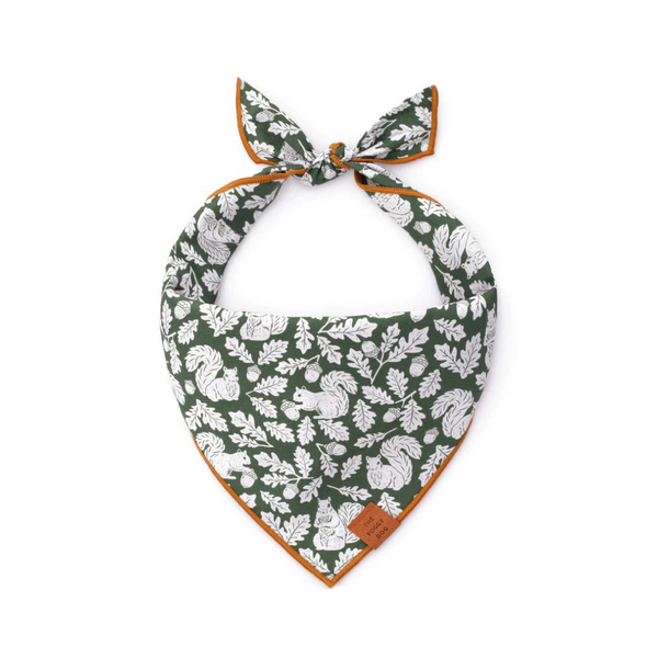 The Foggy Dog Squirrel! Fall Dog Bandana | Kanu Pet