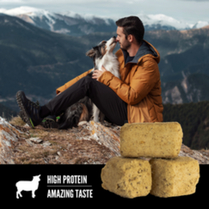 Orijen Grass-Fed Lamb Freeze-Dried Dog Treats | Kanu Pet