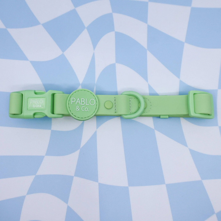 Pablo & Co. Waterproof Dog Collar | Kanu Pet