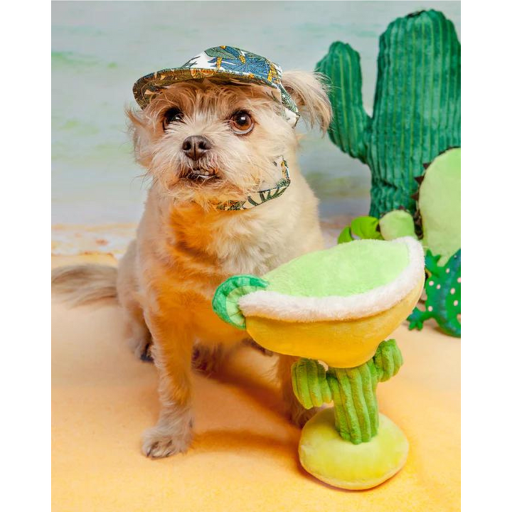  Dogo Pet Bucket Tropical Leaf Dog Hat | Kanu Pet