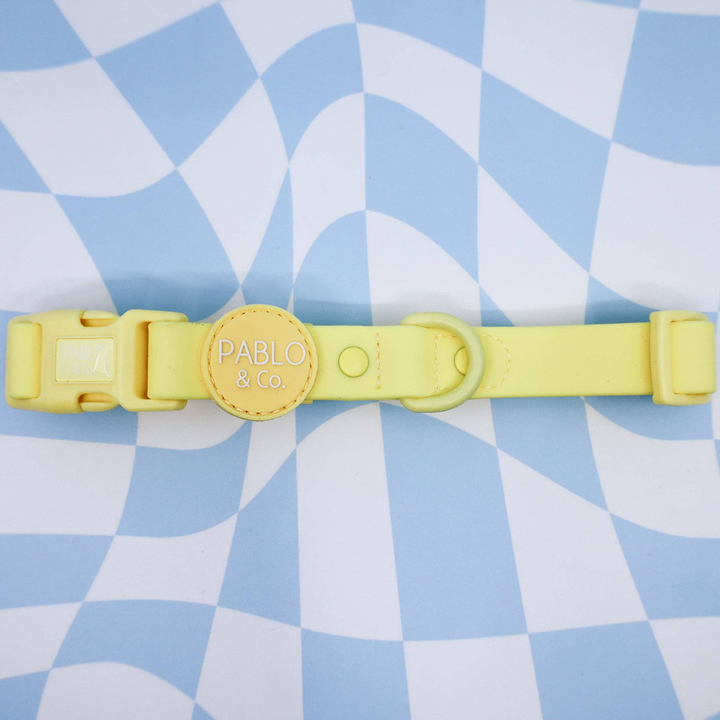 Pablo & Co. Waterproof Dog Collar | Kanu Pet