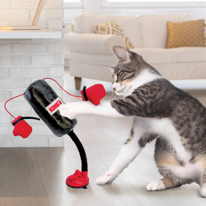 Kong Connects Punching Bag Cat Toy | Kanu Pet