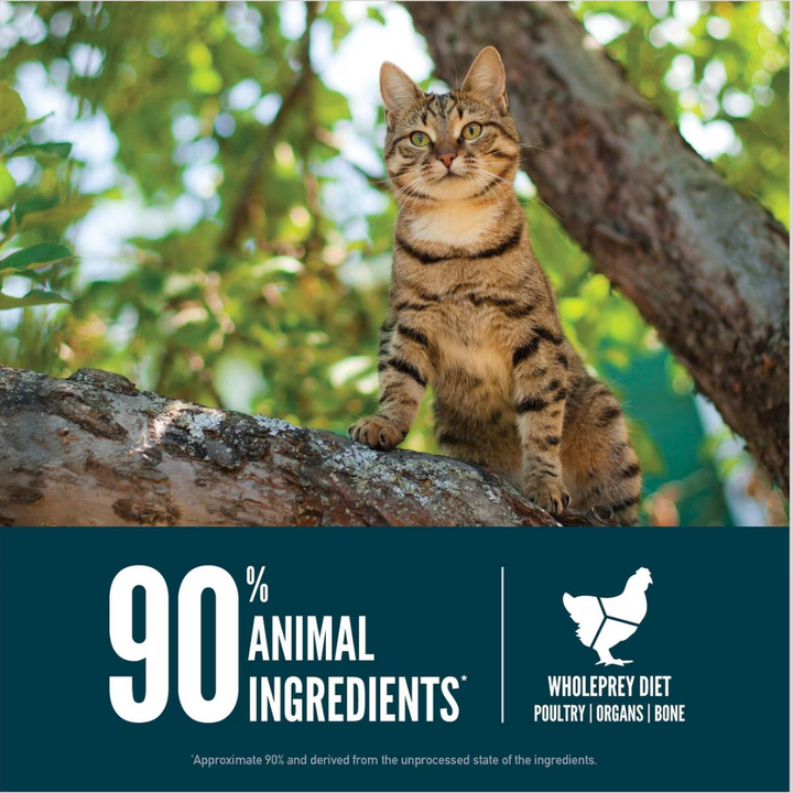 Orijen Guardian 8 Free Run  Dry Cat Food | Kanu Pet