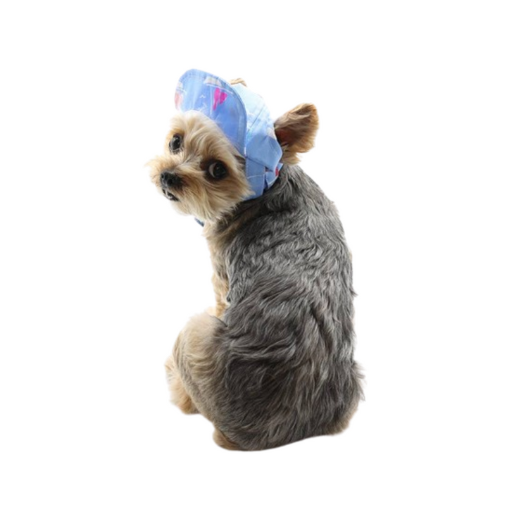 Dogo Pet Summer Beach Dog Hat | Kanu Pet