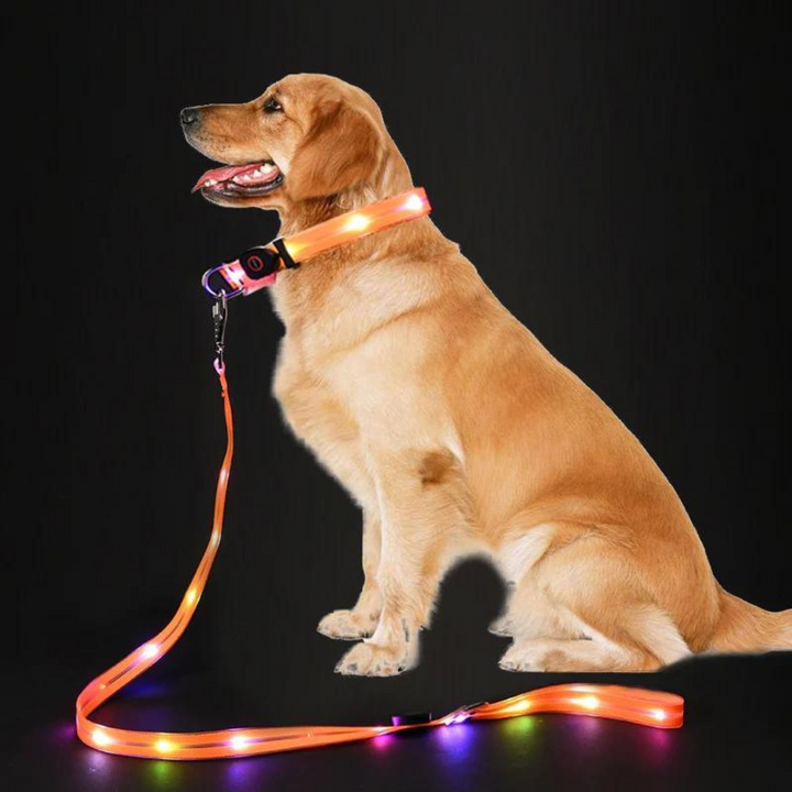  Cheerhunting LED Dog Leash Kanu Pet