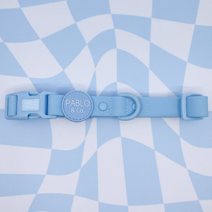 Pablo & Co. Waterproof Dog Collar | Kanu Pet