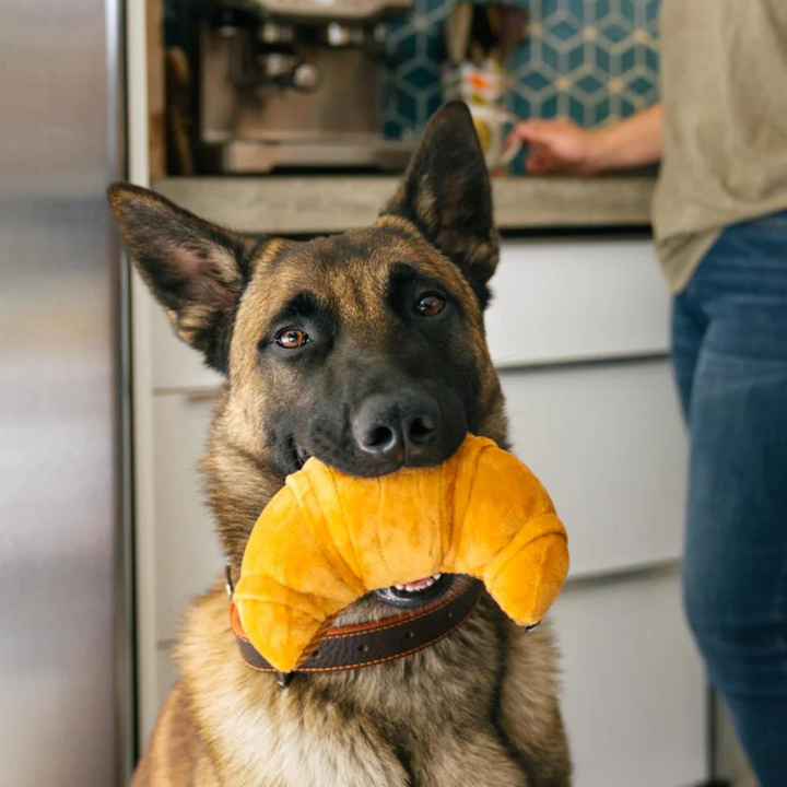 PetPlay Barking Brunch Plush Dog Toy | Kanu Pet