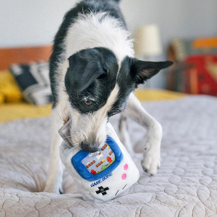 PetPlay 90s Classics Collection Plush Dog Toy | Kanu Pet