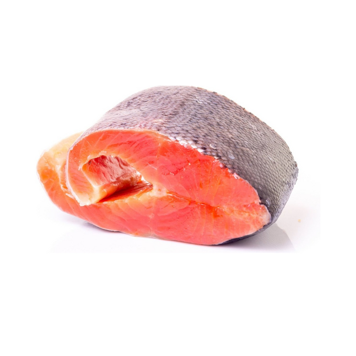 Plato Wild Salmon Oil  Supplement Dog Treat | Kanu Pet