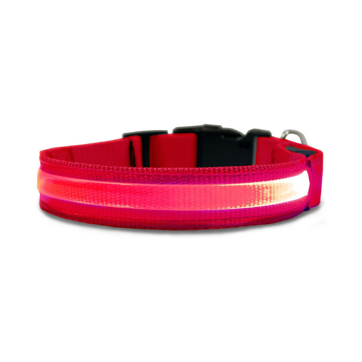 Furhaven LED Safety Light-Up Red Dog Collar | Kanu Pet