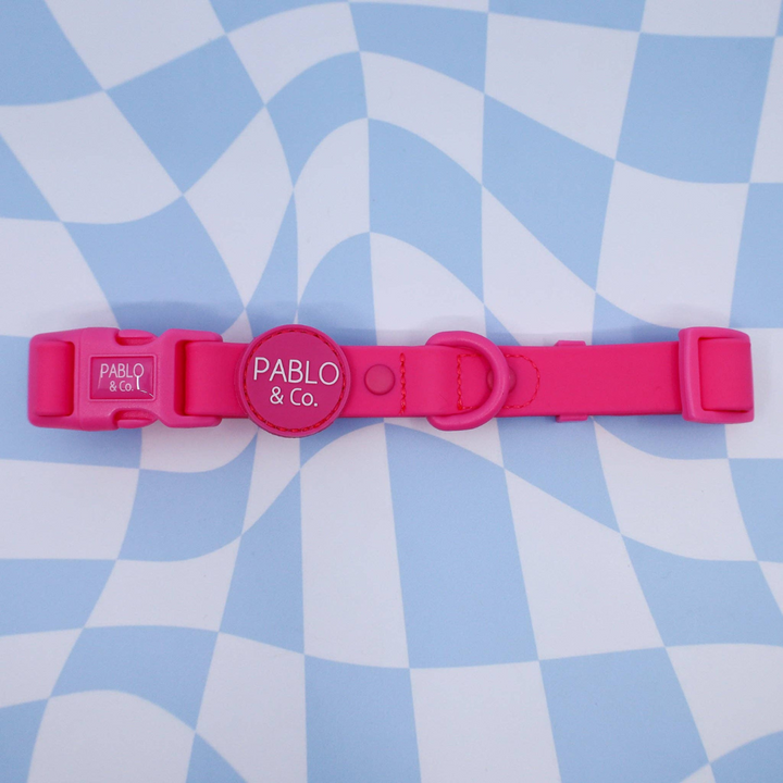 Pablo & Co. Waterproof Dog Collar | Kanu Pet
