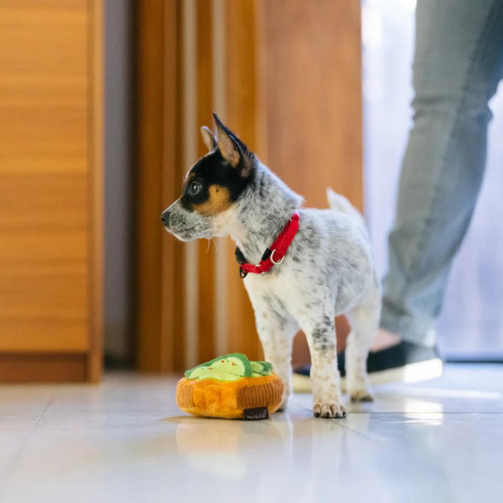 PetPlay Barking Brunch Plush Dog Toy | Kanu Pet