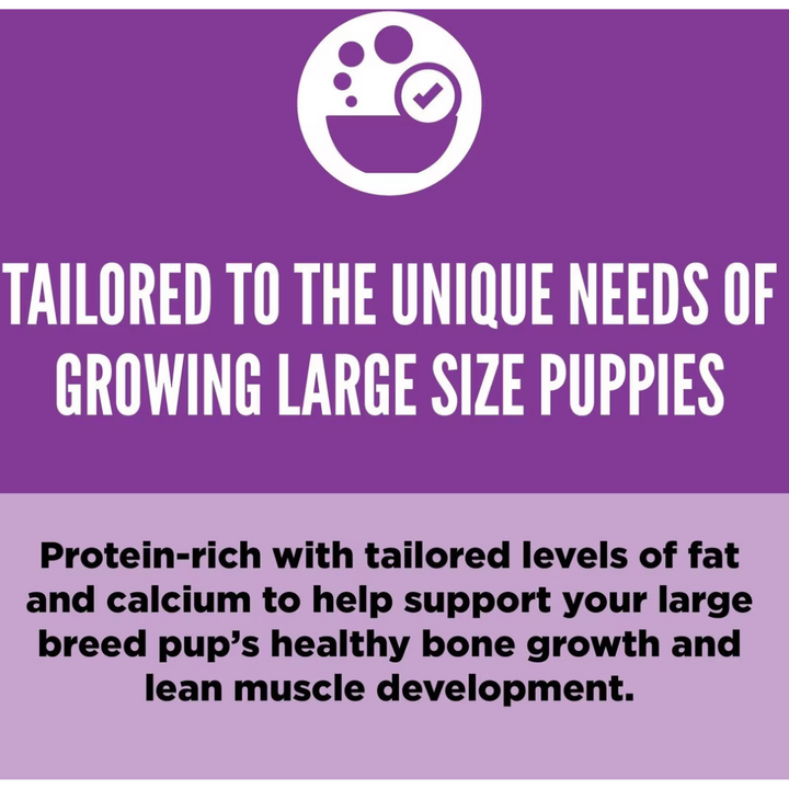 Orijen Puppy Large Graine  Dry Food | Kanu Pet