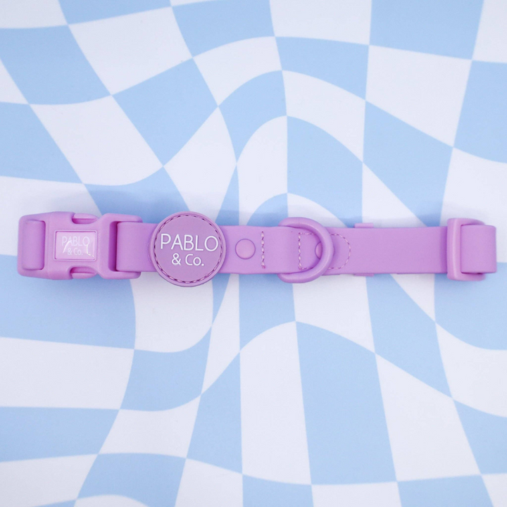 Pablo & Co. Waterproof Dog Collar | Kanu Pet