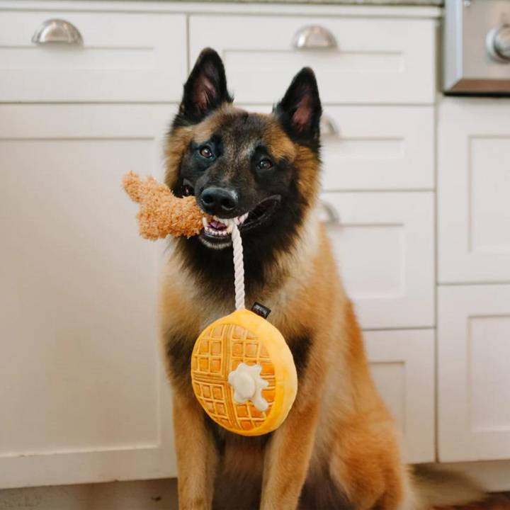 PetPlay Barking Brunch Plush Dog Toy | Kanu Pet
