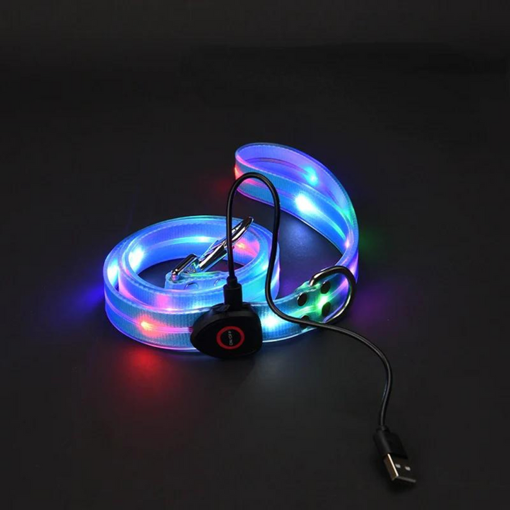  Cheerhunting LED Dog Leash Kanu Pet