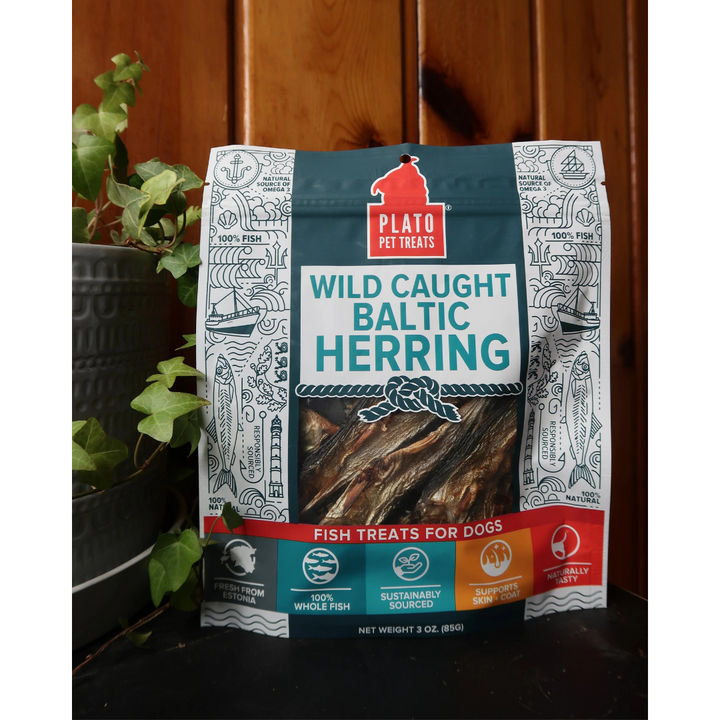 Plato Wild Caught Baltic Herring Dog Treat | Kanu Pet