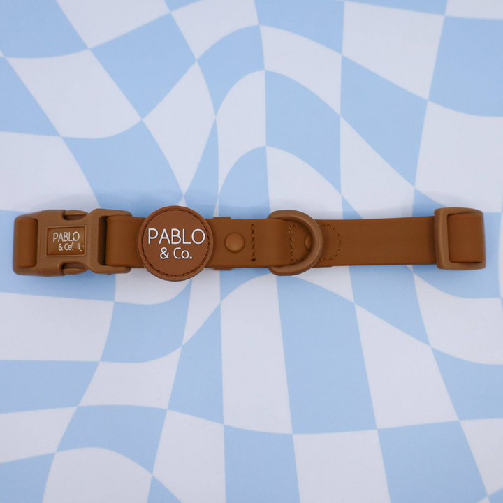 Pablo & Co. Waterproof Dog Collar | Kanu Pet