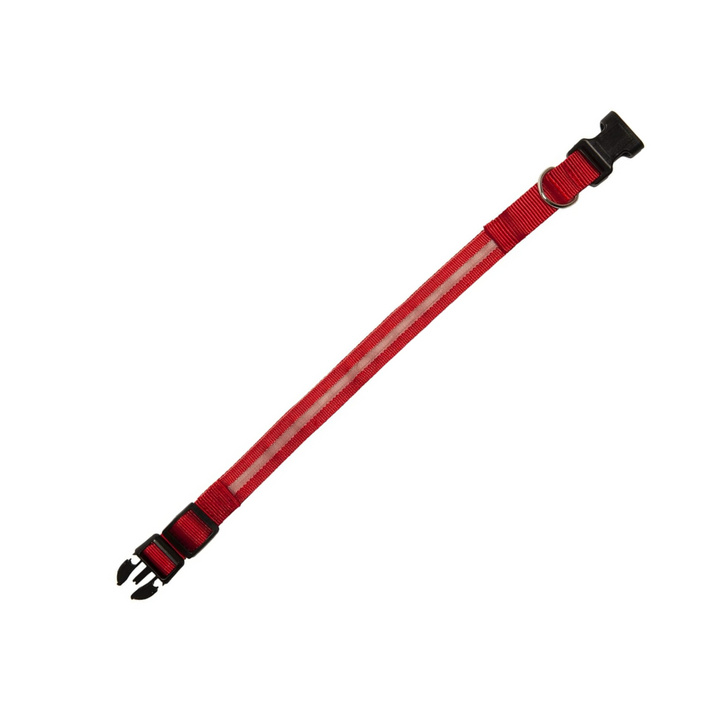 Furhaven LED Safety Light-Up Red Dog Collar | Kanu Pet