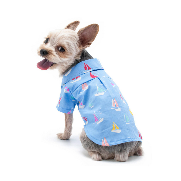 Dogo Pet  Summer Beach Dog Shirt | Kanu Pet
