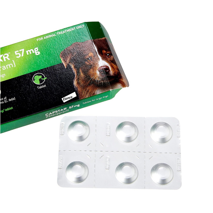 Capstar Flea Treatment for Dogs (25Lb Up) | Kanu Pet