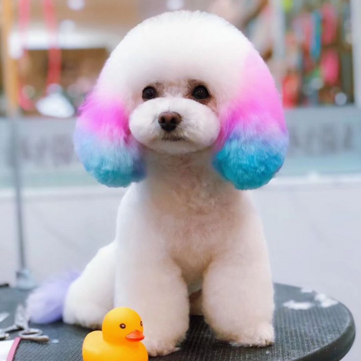 Coloring Cambo (Ears, Legs & Tail) | Kanu Pet