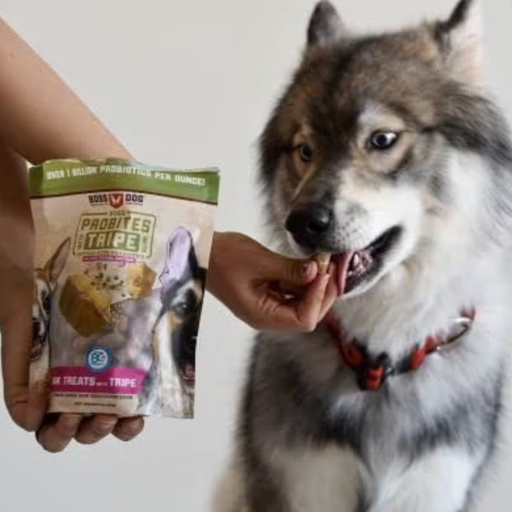 Boss Dog Probites Pork with Tripe Dog Treats | Kanu Pet