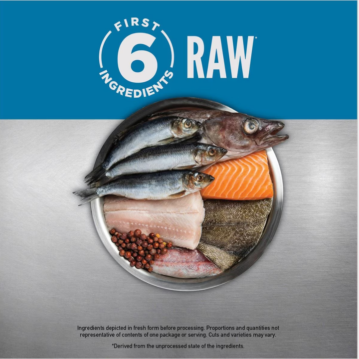 Orijen Six-Fish Gran-Free Dry Cat Food | Kanu Pet
