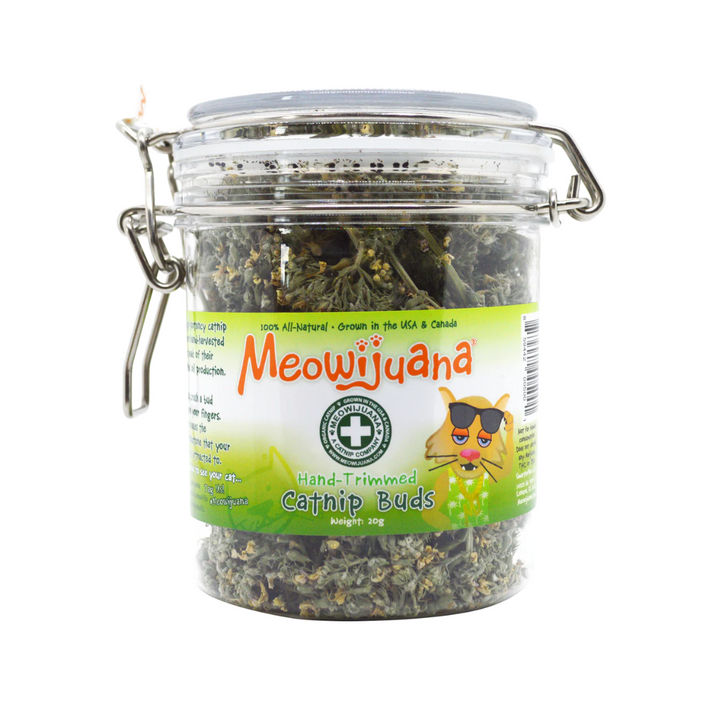 Meowijuana Jar of Organic Catnip Buds for Cats | Kanu Pet