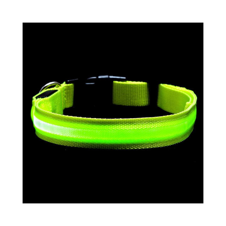 Furhaven LED Safety Light-Up Green Dog Collar | Kanu Pet