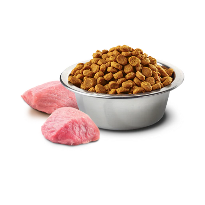 Farmina N&D Pumpkin Grain-Free Dog Dry Food | Kanu Pet