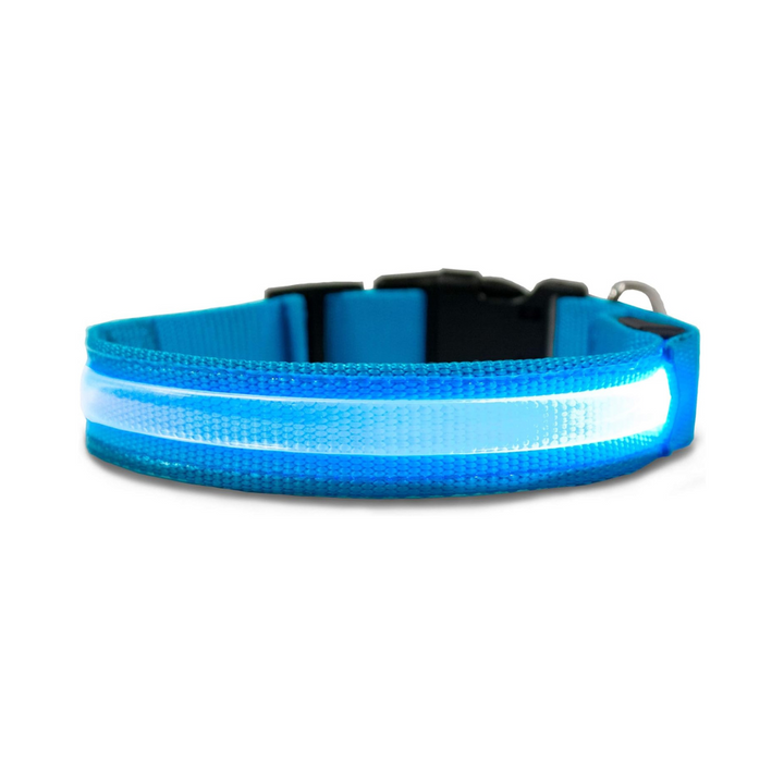 Furhaven LED Safety Light-Up Blue Dog Collar | Kanu Pet