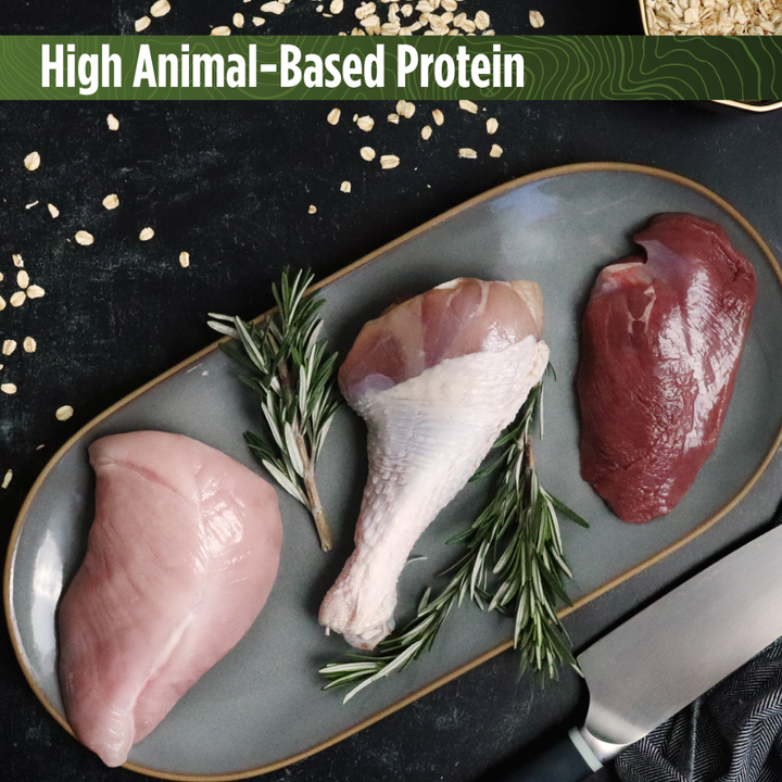 Nulo Challenger High-Protein Kibble  Dog Food | Kanu Pet