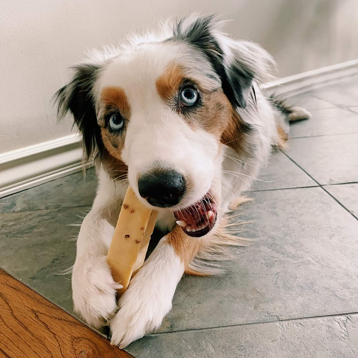 Himalayan Pet Supply The Original Dog Chew Treat Medium | Kanu Pet