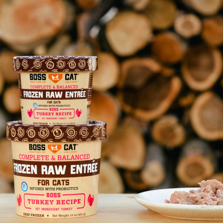 Boss Cat Frozen Raw Entree Turkey Cat Food | Kanu Pet