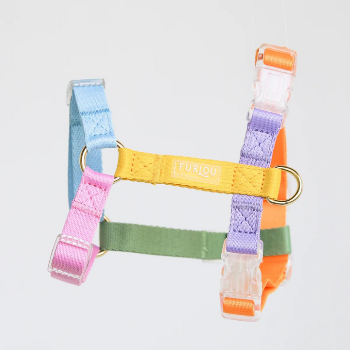 Furlou Rainbow Dog Harness | Kanu Pet