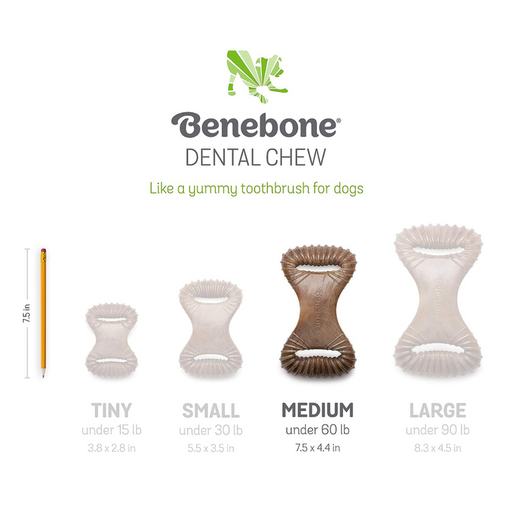 Benebone Dental Chew Chicken  Flavor Dog Chew Toy | Kanu Pet
