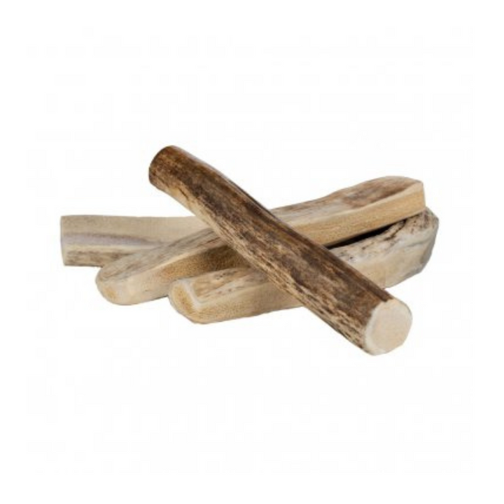Primal™ Moose Antler chew for Dog | Kanu Pet