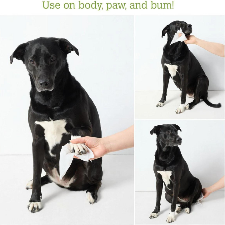Earth Rated Compostable Dog Wipes | Kanu Pet
