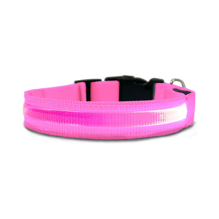 Furhaven LED Safety Light-Up Pink Dog Collar | Kanu Pet