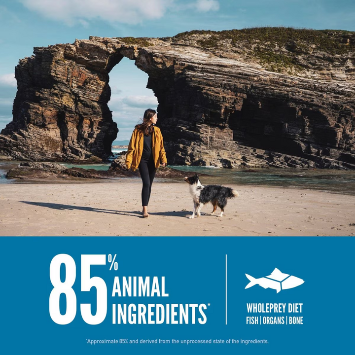 Orijen Six Fish Grain-Free Dry Dog Food | Kanu Pet