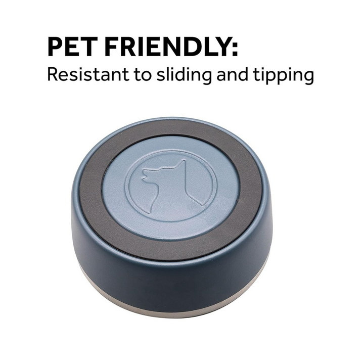 Lucky Dog Indulge Double Wall Stainless Steel Dog Bowl | Kanu Pet